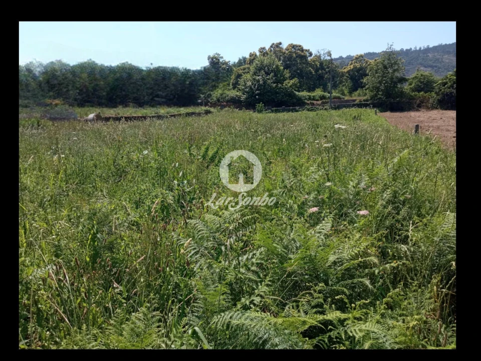 Terreno para Venda em Cervães Foto 7