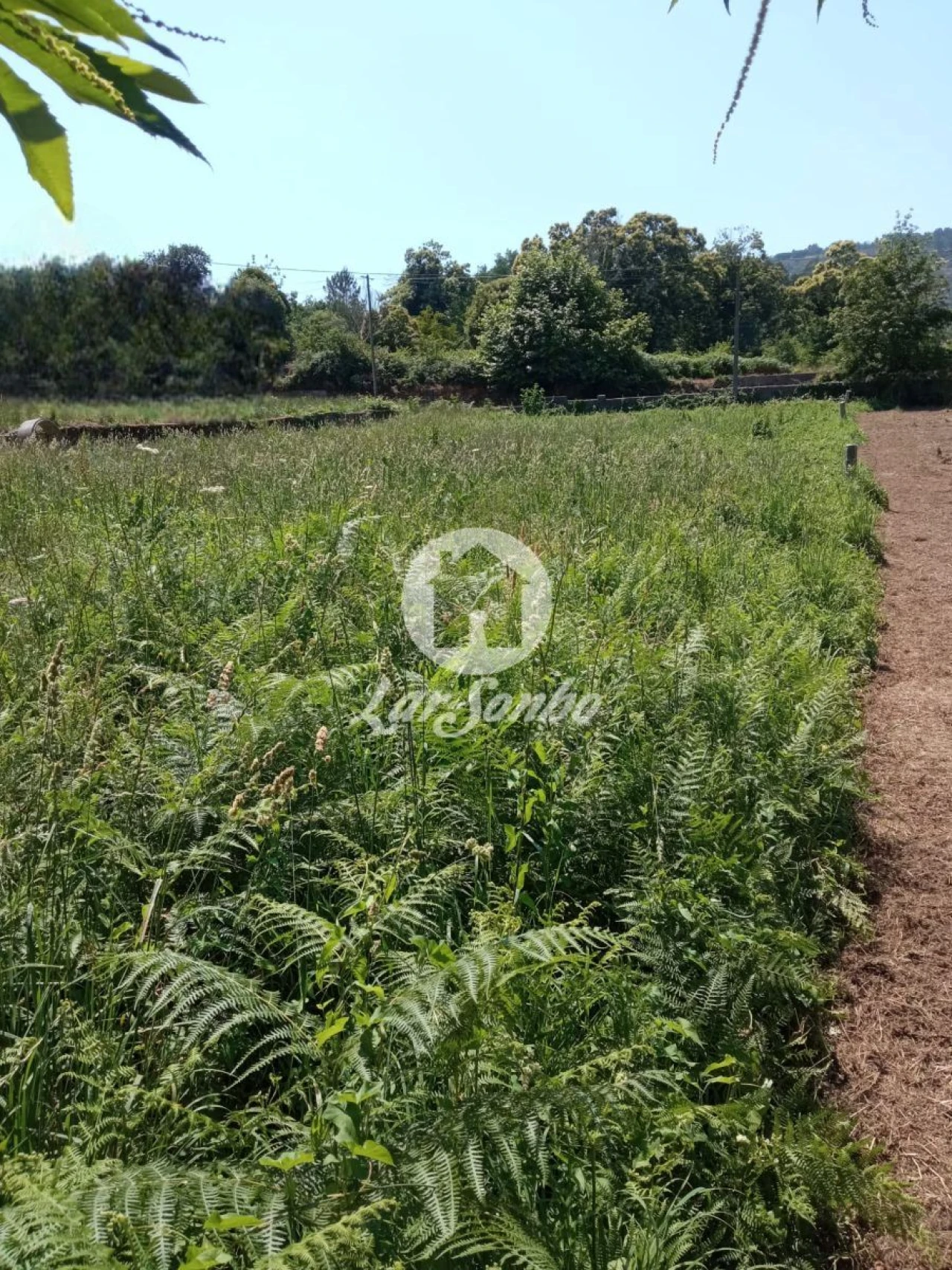 Terreno para Venda em Cervães Foto 13