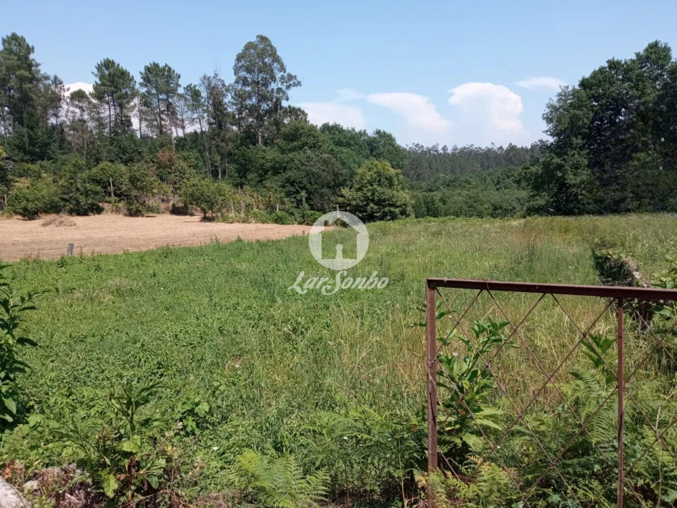 Terreno para Venda em Cervães Foto 17