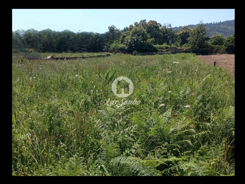 Terreno para Venda em Cervães Foto 18