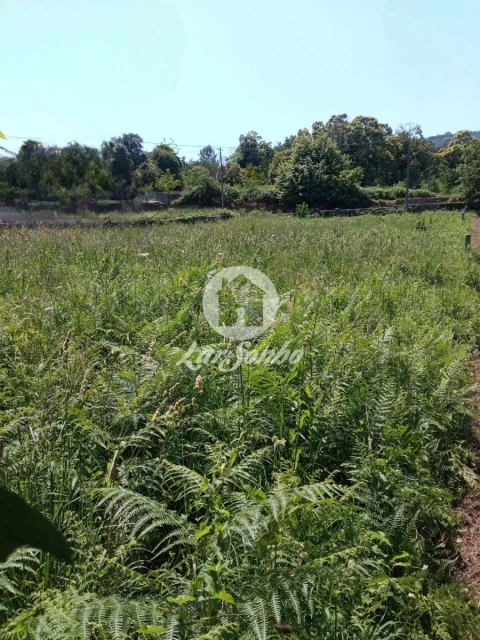 Terreno para Venda em Cervães