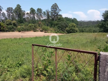 Terreno para Venda em Cervães