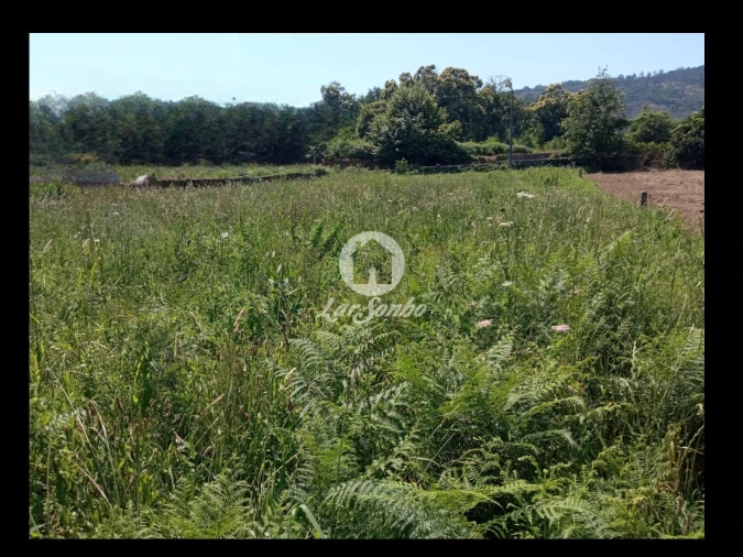 Terreno para Venda em Cervães Foto 7