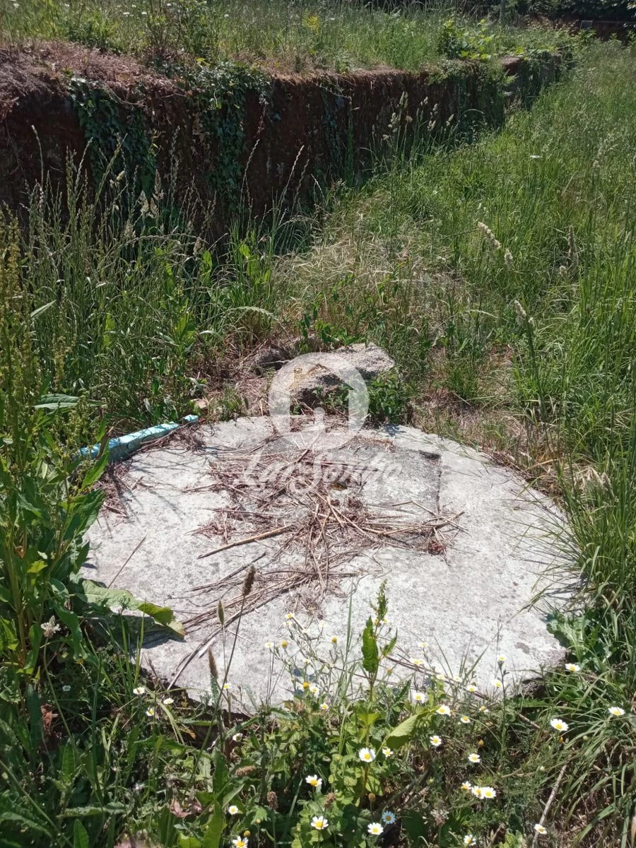 Terreno para Venda em Cervães Foto 8