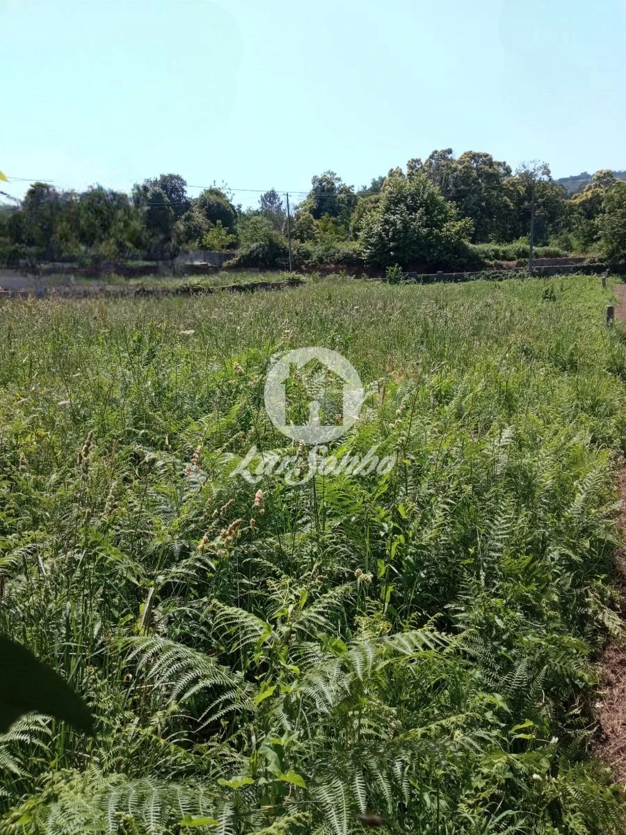 Terreno para Venda em Cervães Foto 14