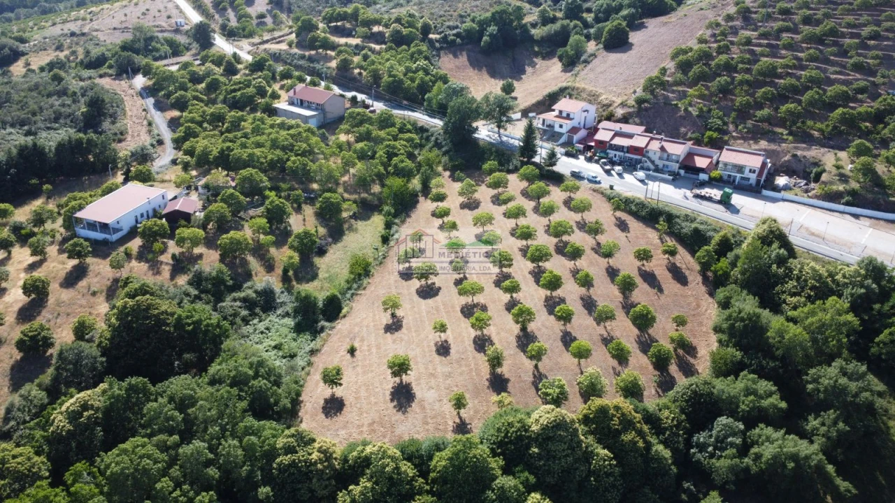 Terreno para Venda em Sambade Foto 7