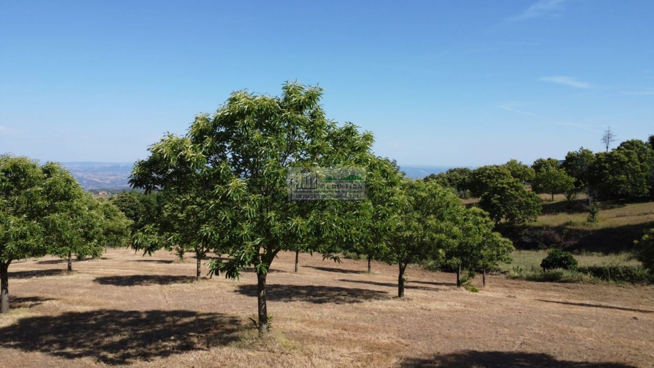 Terreno para Venda em Sambade Foto 12