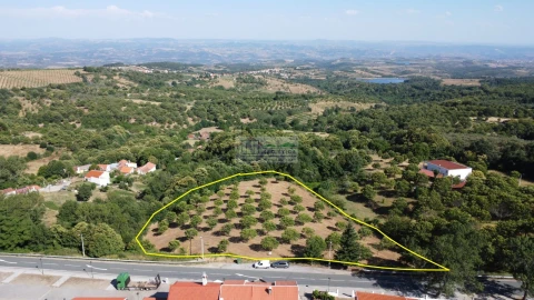 Terreno para Venda em Sambade