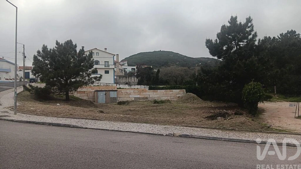 Terreno para Venda em Tornada e Salir do Porto Foto 5