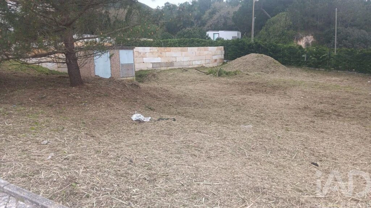 Terreno para Venda em Tornada e Salir do Porto Foto 4