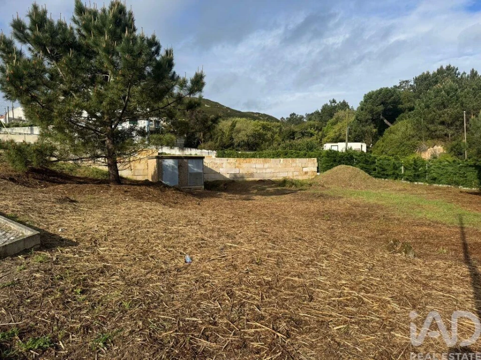 Terreno para Venda em Tornada e Salir do Porto Foto 1