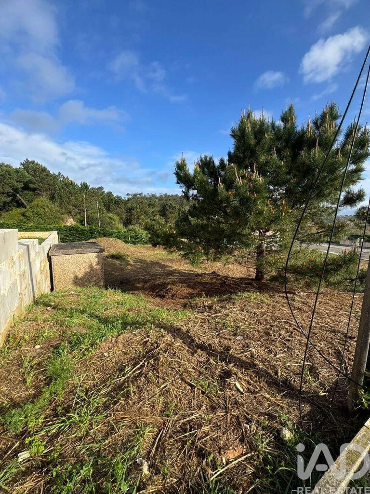 Terreno para Venda em Tornada e Salir do Porto Foto 12