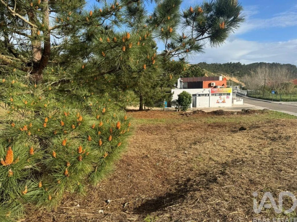 Terreno para Venda em Tornada e Salir do Porto Foto 2