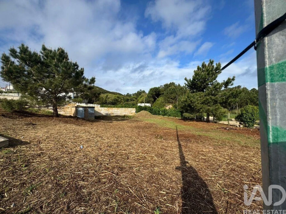 Terreno para Venda em Tornada e Salir do Porto Foto 4