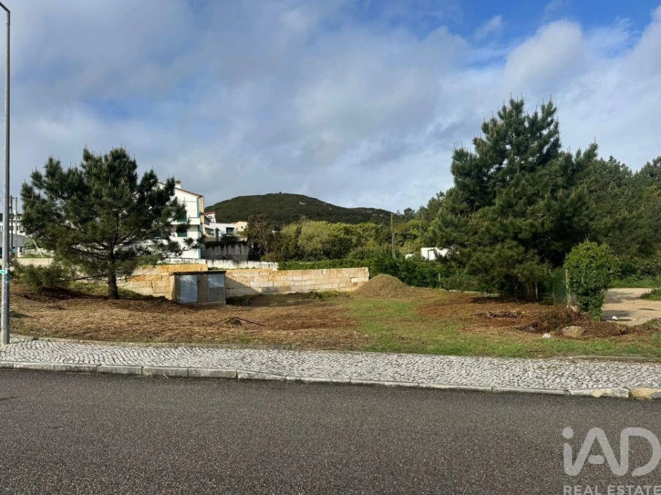 Terreno para Venda em Tornada e Salir do Porto Foto 9