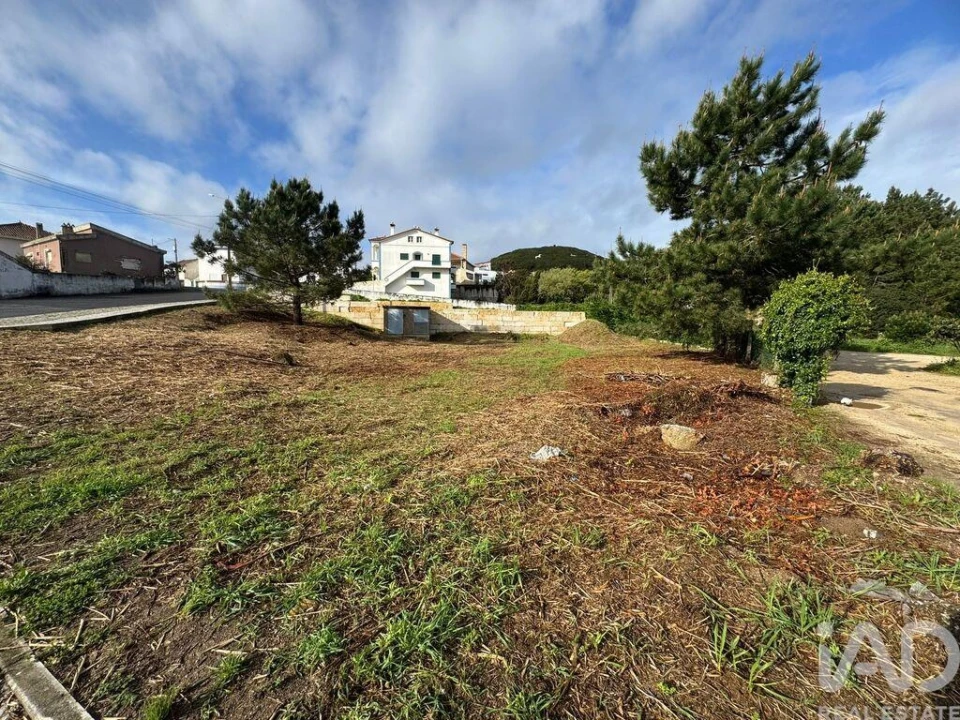 Terreno para Venda em Tornada e Salir do Porto Foto 6