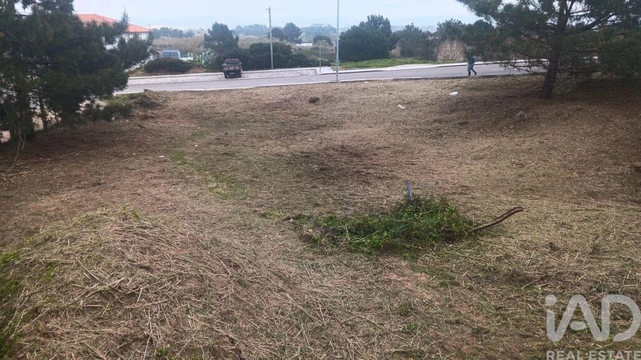 Terreno para Venda em Tornada e Salir do Porto Foto 3