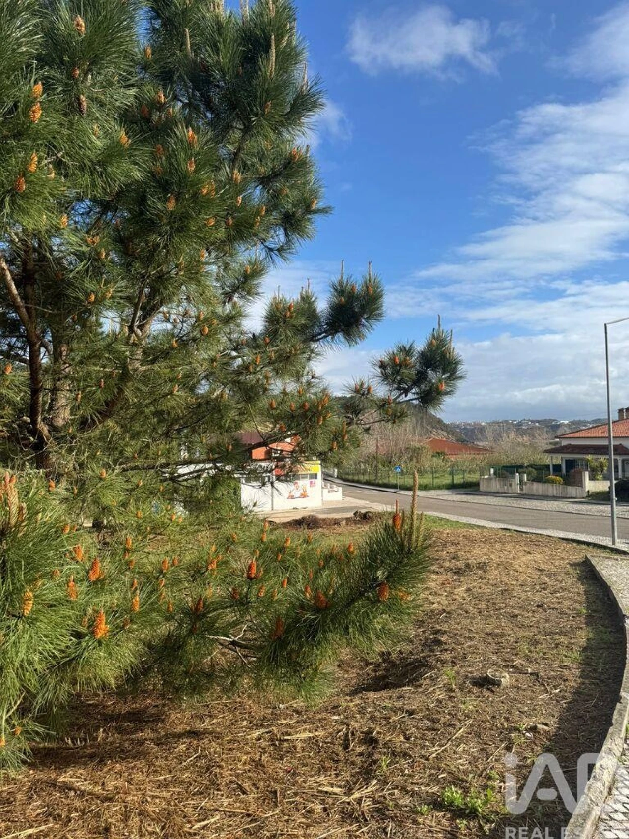 Terreno para Venda em Tornada e Salir do Porto Foto 11