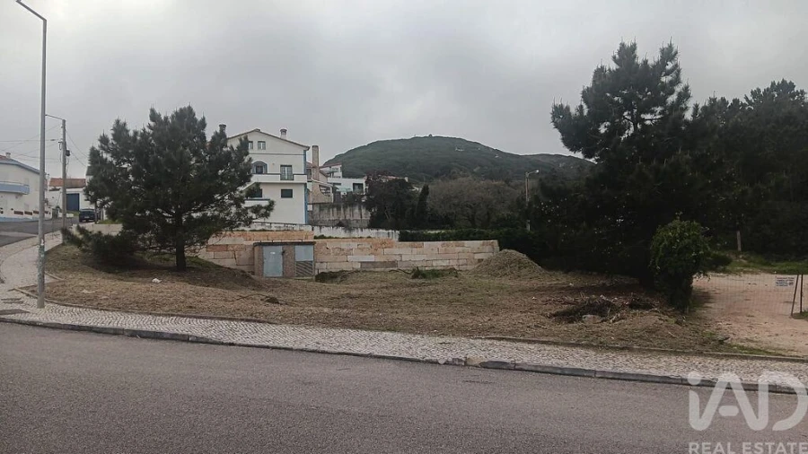 Terreno para Venda em Tornada e Salir do Porto Foto 5