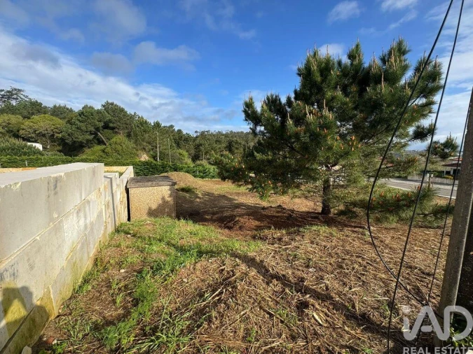 Terreno para Venda em Tornada e Salir do Porto Foto 3