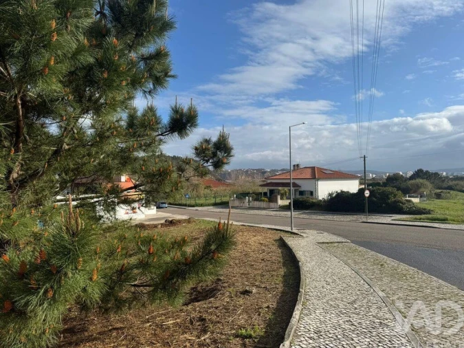 Terreno para Venda em Tornada e Salir do Porto Foto 5