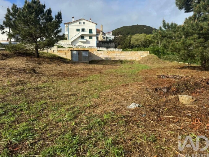 Terreno para Venda em Tornada e Salir do Porto Foto 10