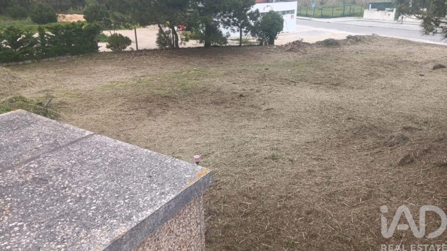 Terreno para Venda em Tornada e Salir do Porto Foto 2