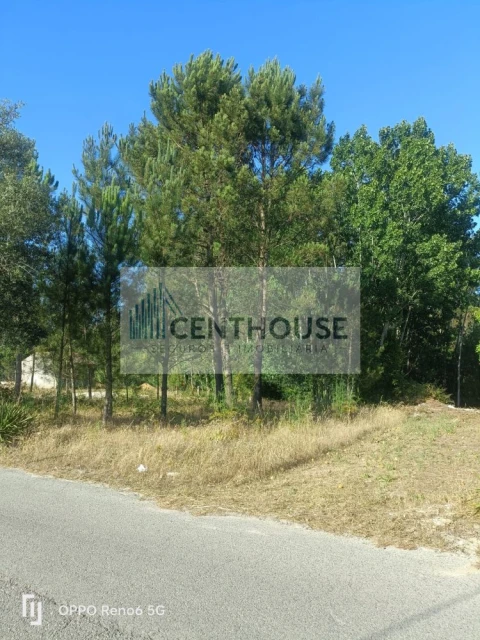 Terreno para Venda em Ponte de Vagos e Santa Catarina