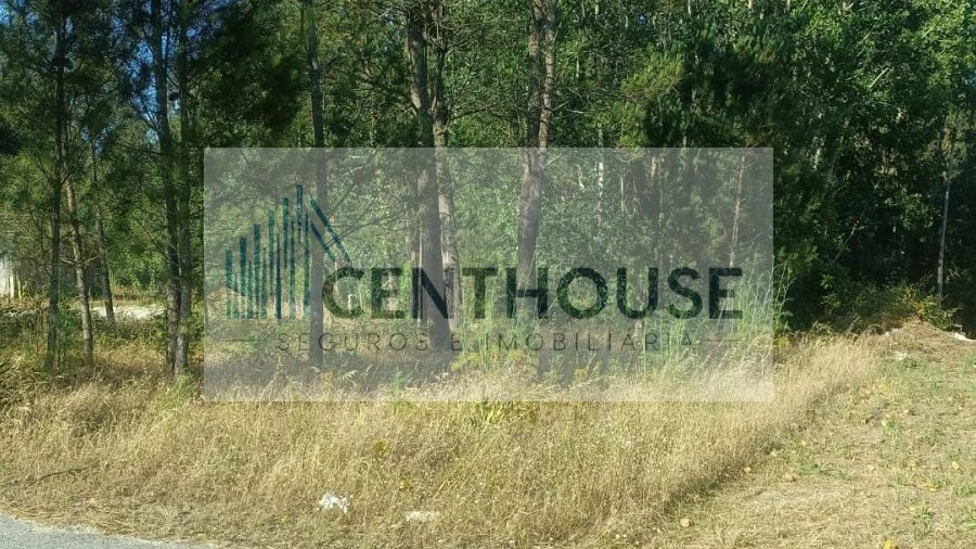 Terreno para Venda em Ponte de Vagos e Santa Catarina
