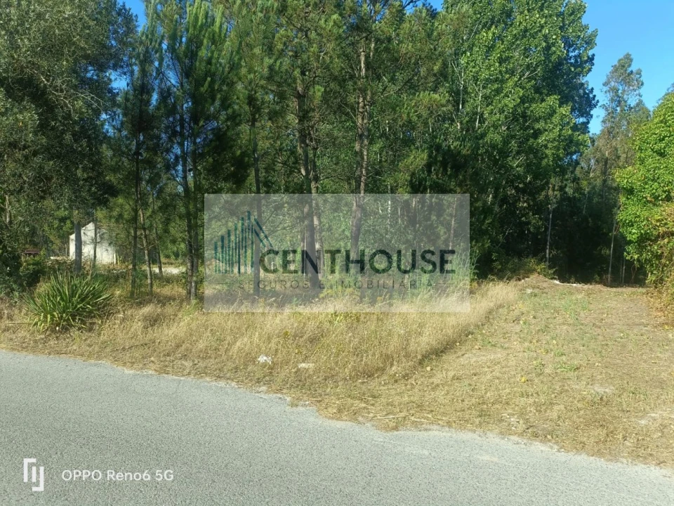 Terreno para Venda em Ponte de Vagos e Santa Catarina Foto 1