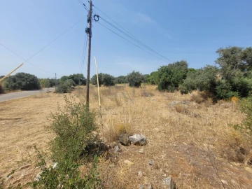 Terreno Agricola ou Rústico para Venda em Portimão