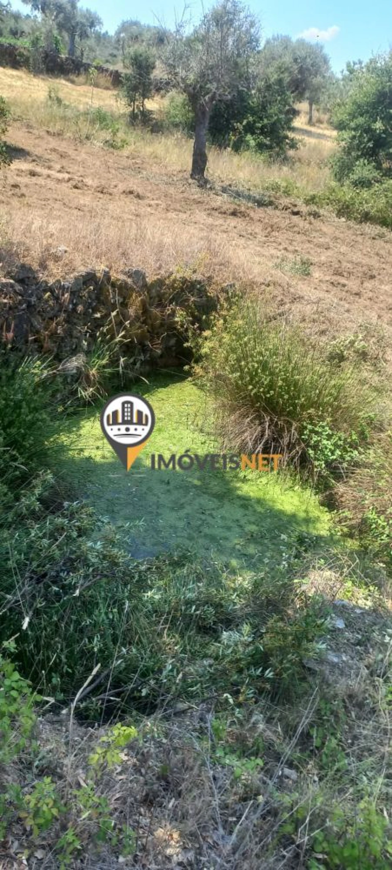Terreno para Venda em Ninho do Açor e Sobral do Campo Foto 2