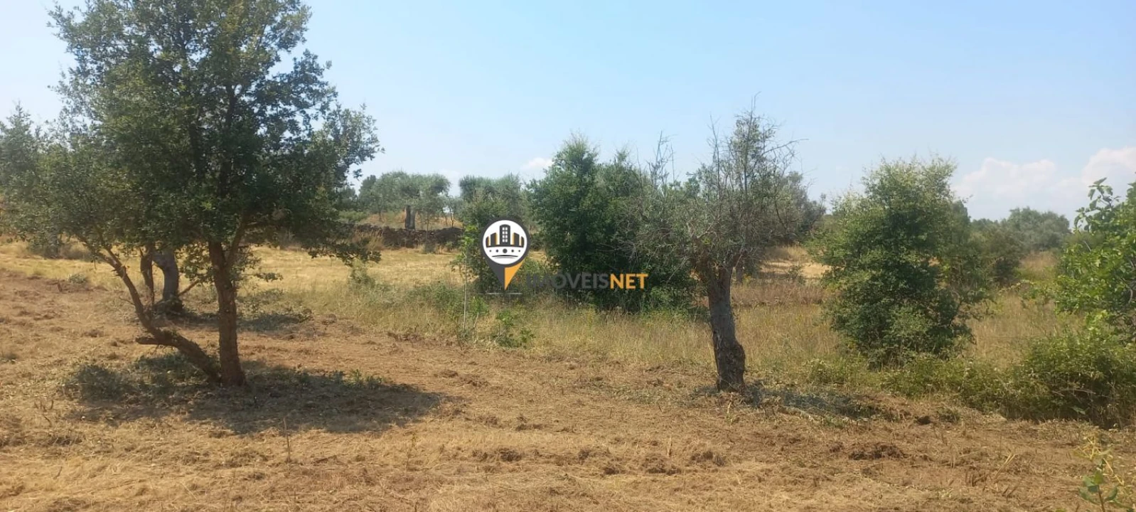 Terreno para Venda em Ninho do Açor e Sobral do Campo Foto 7