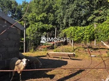 Moradia T2 para Venda em Fornelos