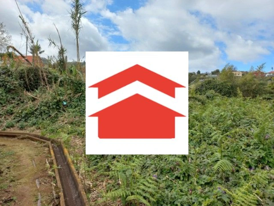 Terreno para Venda em São Jorge Foto 4