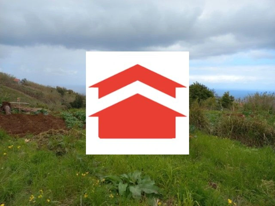 Terreno para Venda em São Jorge Foto 2