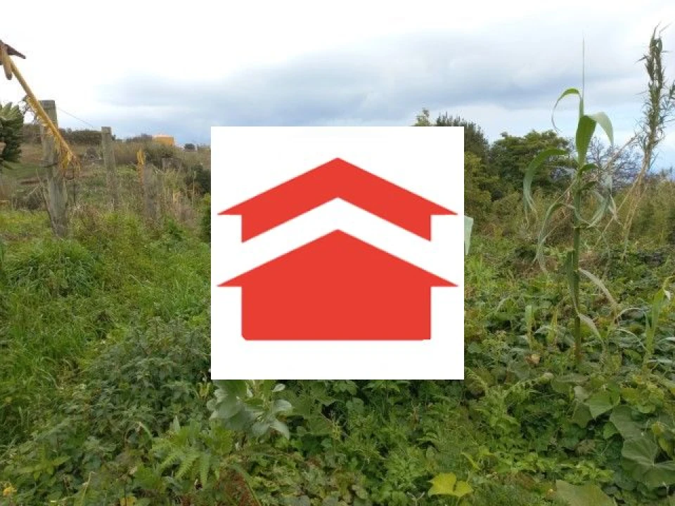 Terreno para Venda em São Jorge Foto 5