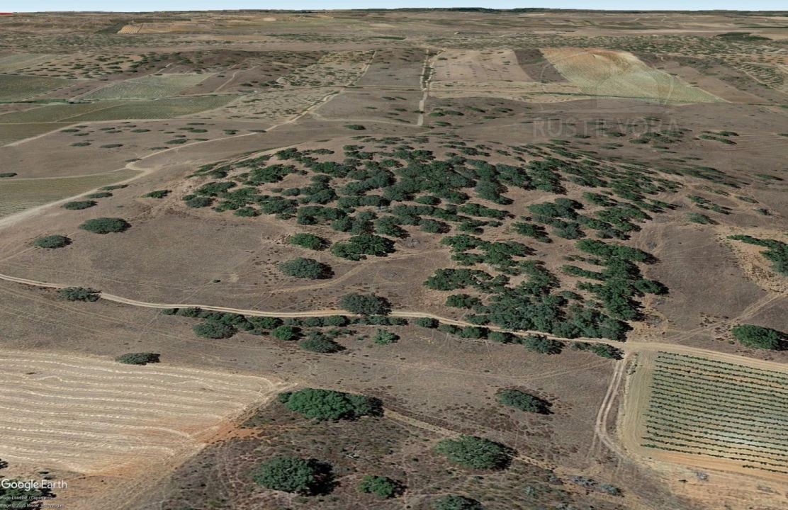 Terreno para Venda em Santiago Maior Foto 1