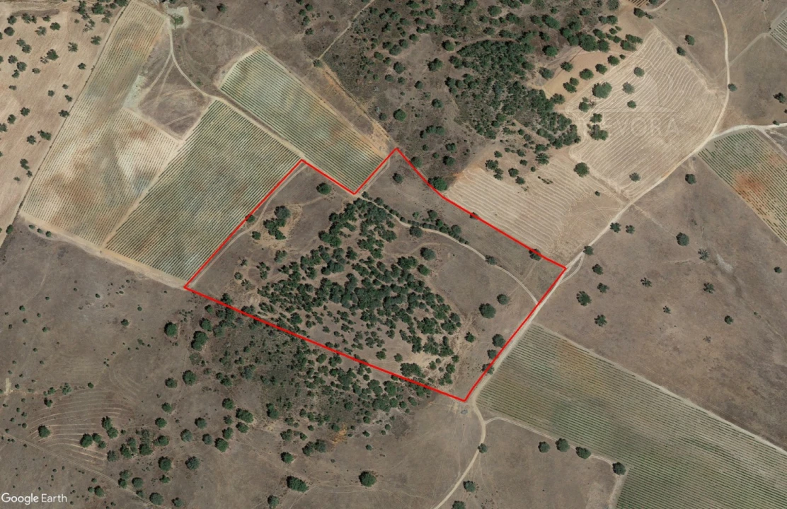 Terreno para Venda em Santiago Maior Foto 2