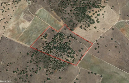Terreno para Venda em Santiago Maior