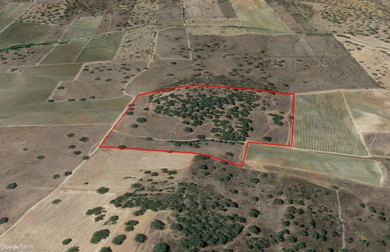 Terreno para Venda em Santiago Maior Foto 4
