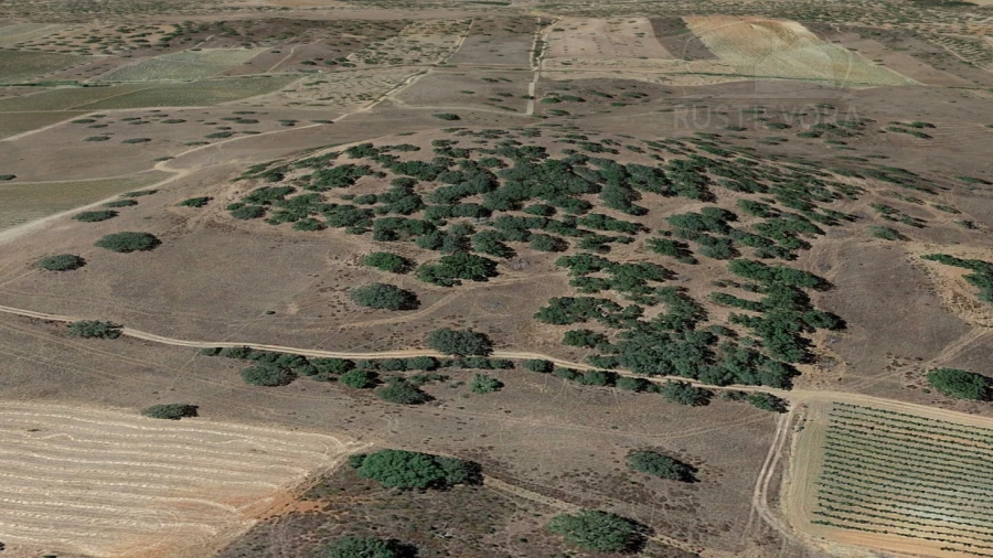 Terreno para Venda em Santiago Maior