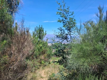 Terreno para Venda em Alcongosta