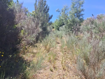 Terreno para Venda em Alcongosta