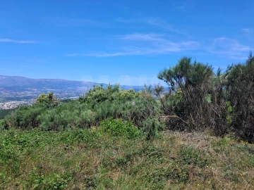 Terreno para Venda em Alcongosta