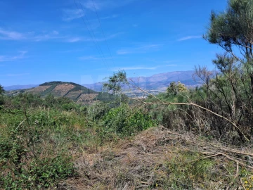 Terreno para Venda em Alcongosta