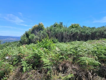 Terreno para Venda em Alcongosta