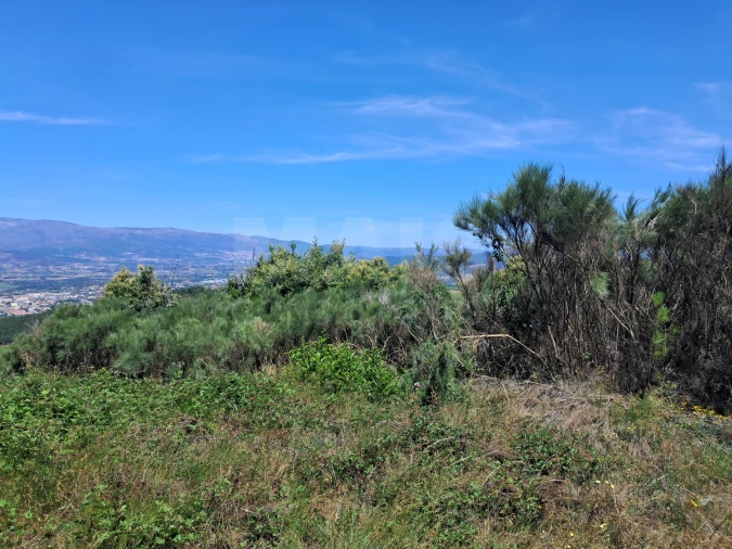 Terreno para Venda em Alcongosta Foto 8