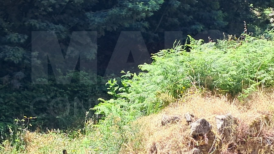 Terreno para Venda em Alcongosta