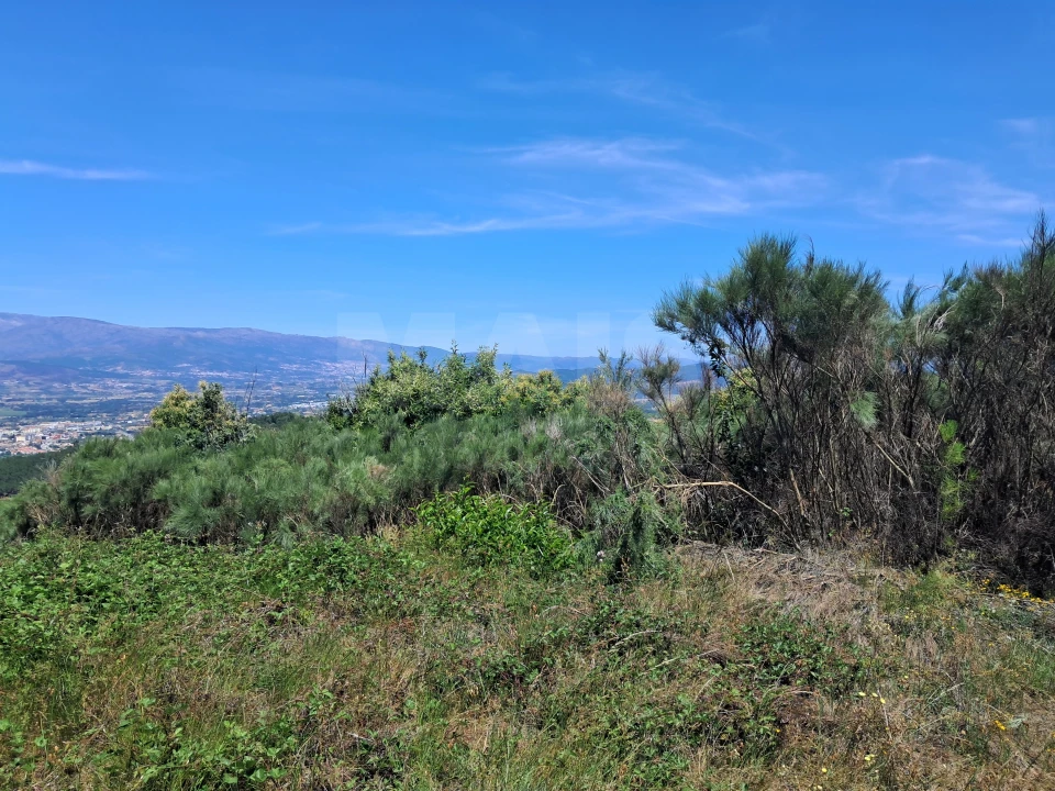 Terreno para Venda em Alcongosta Foto 8